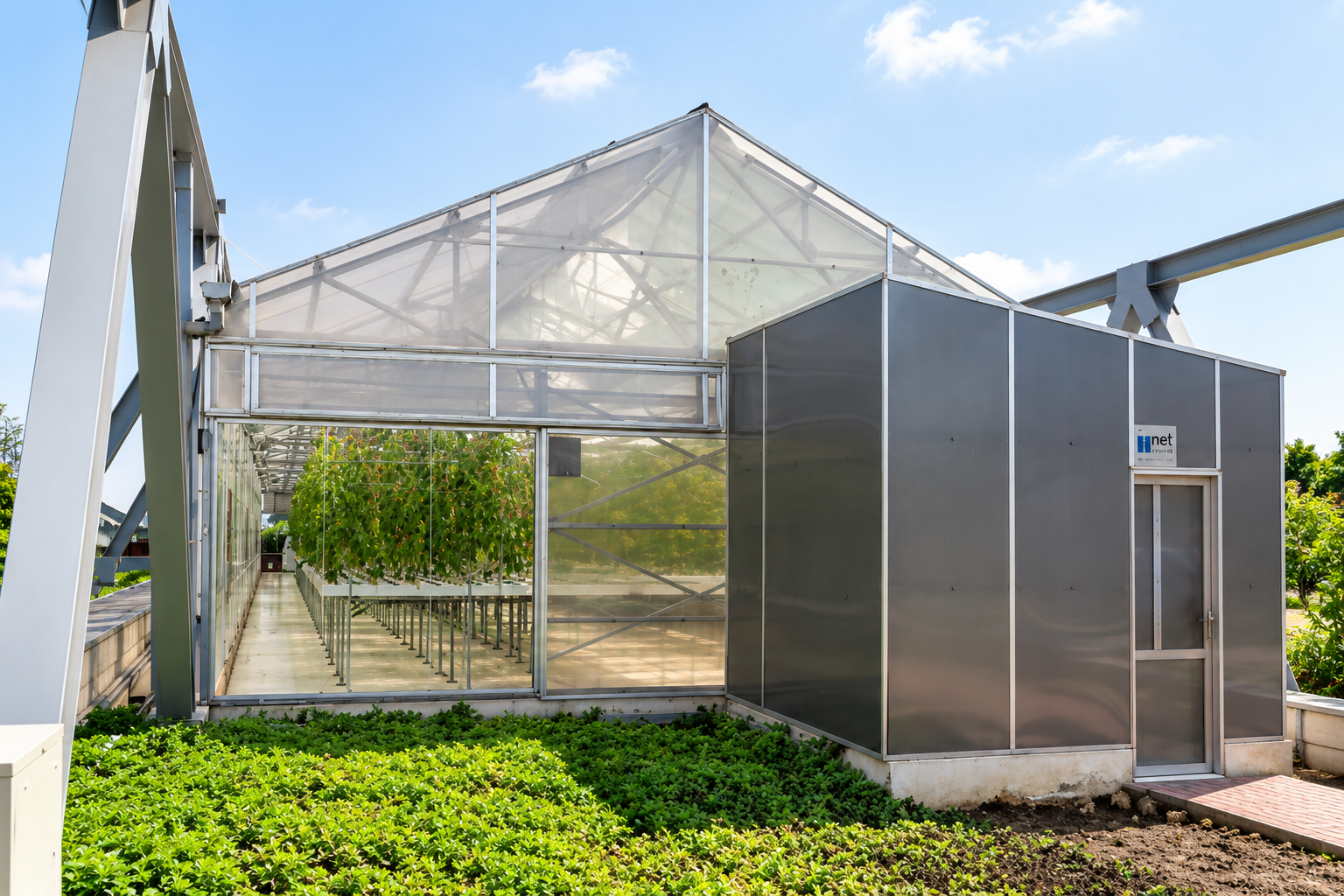 Commercial tissue culture