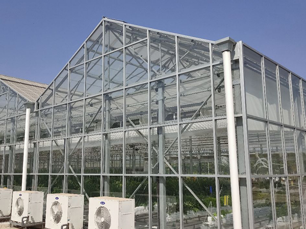 Glasshouse