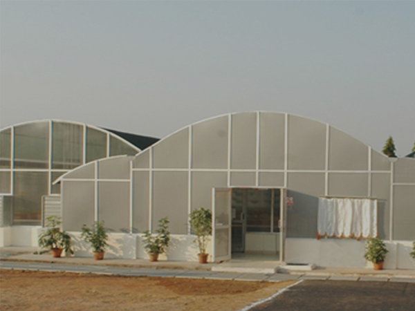 Containment/Transgenic Greenhouses