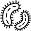 BSL-4 includes Ebola and Marburg viruses