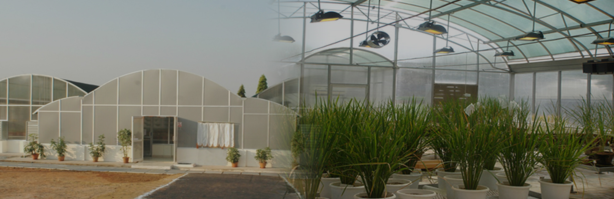 Containment/Transgenic Greenhouses