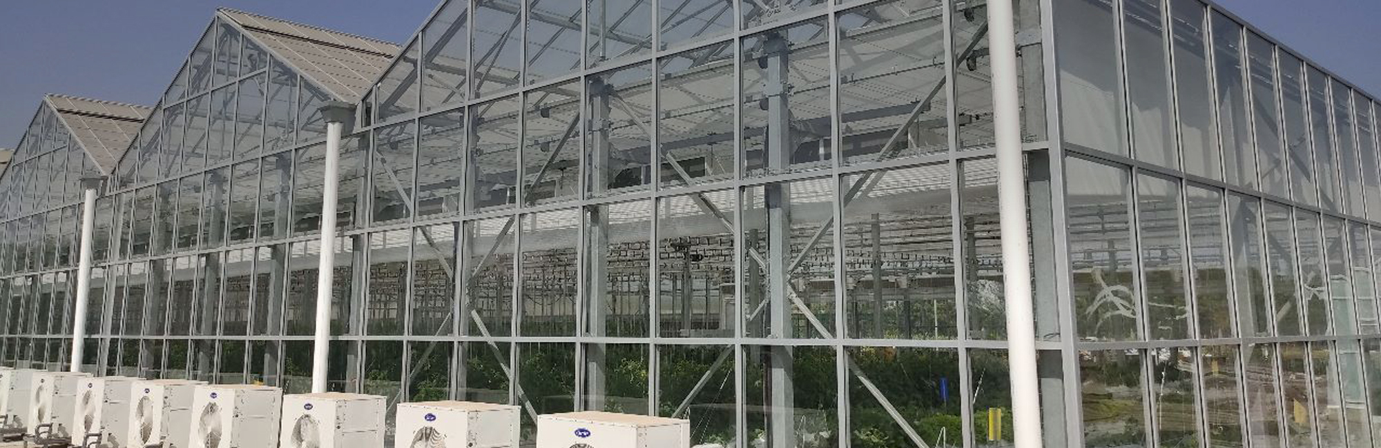 Glasshouse