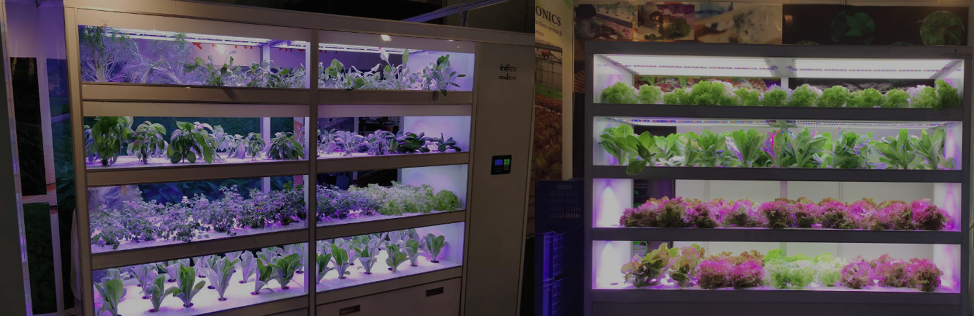 Vertical Farming