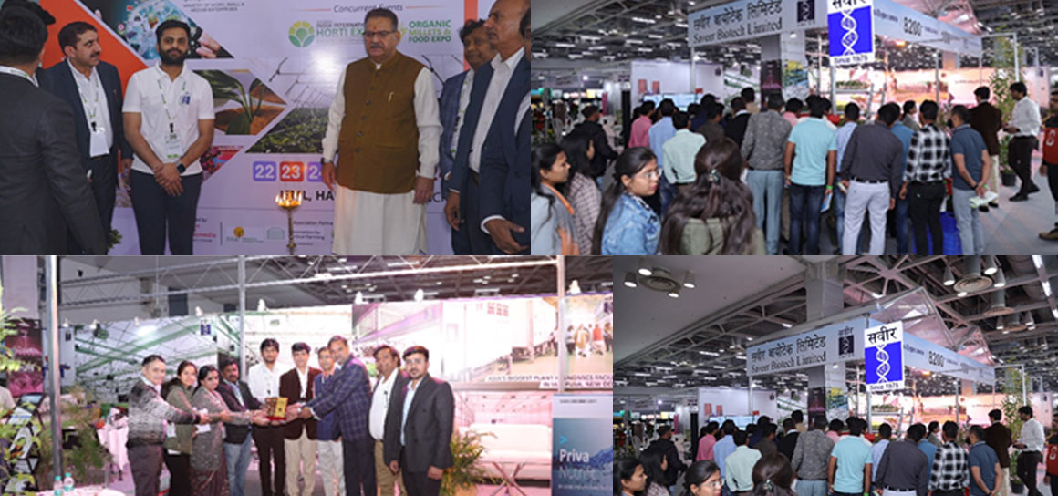 Saveer Biotech Shines at India International Horti Expo 2024 with Innovative Solutions for Nursery Management & Hitech Hydroponic Farming.